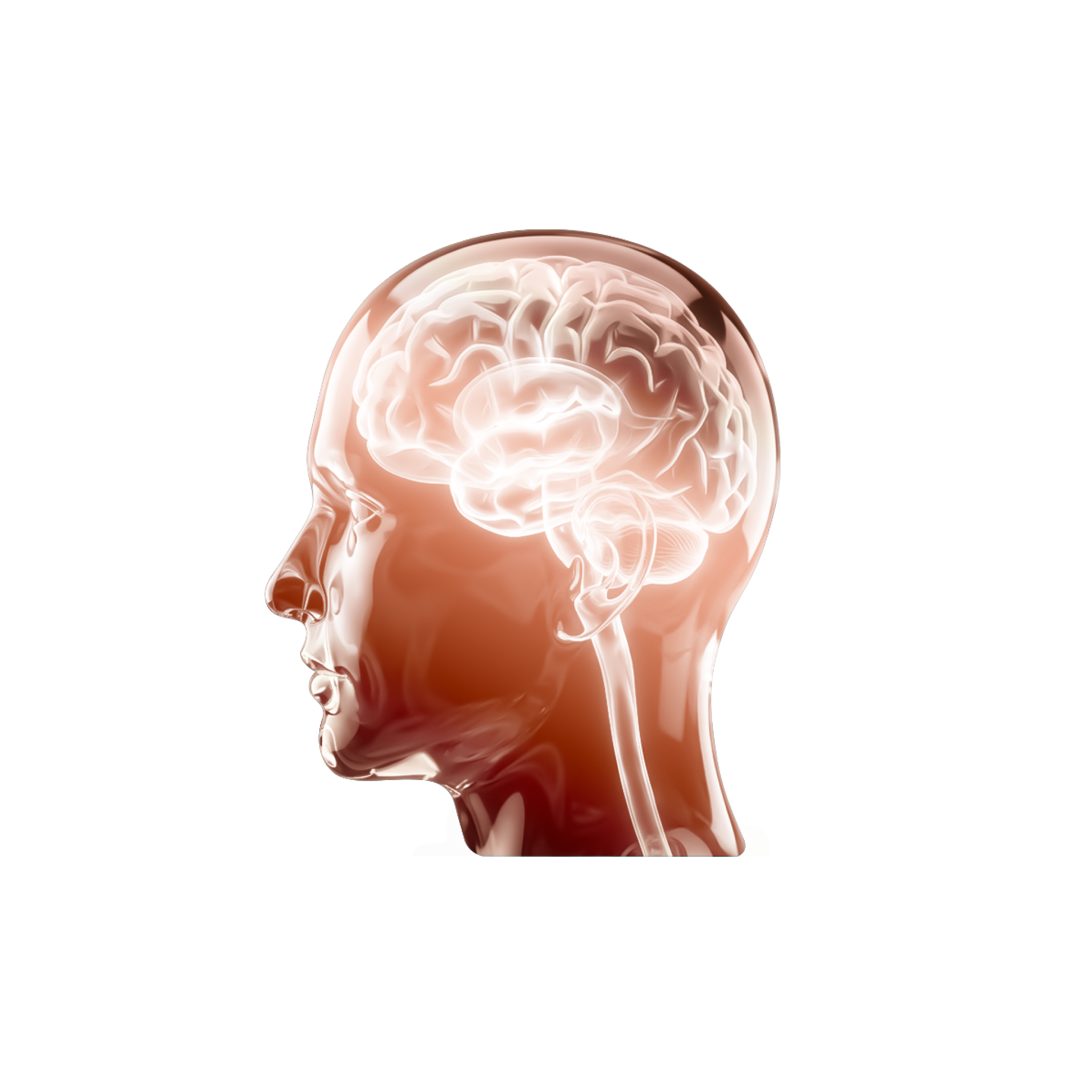 Concussion Recovery