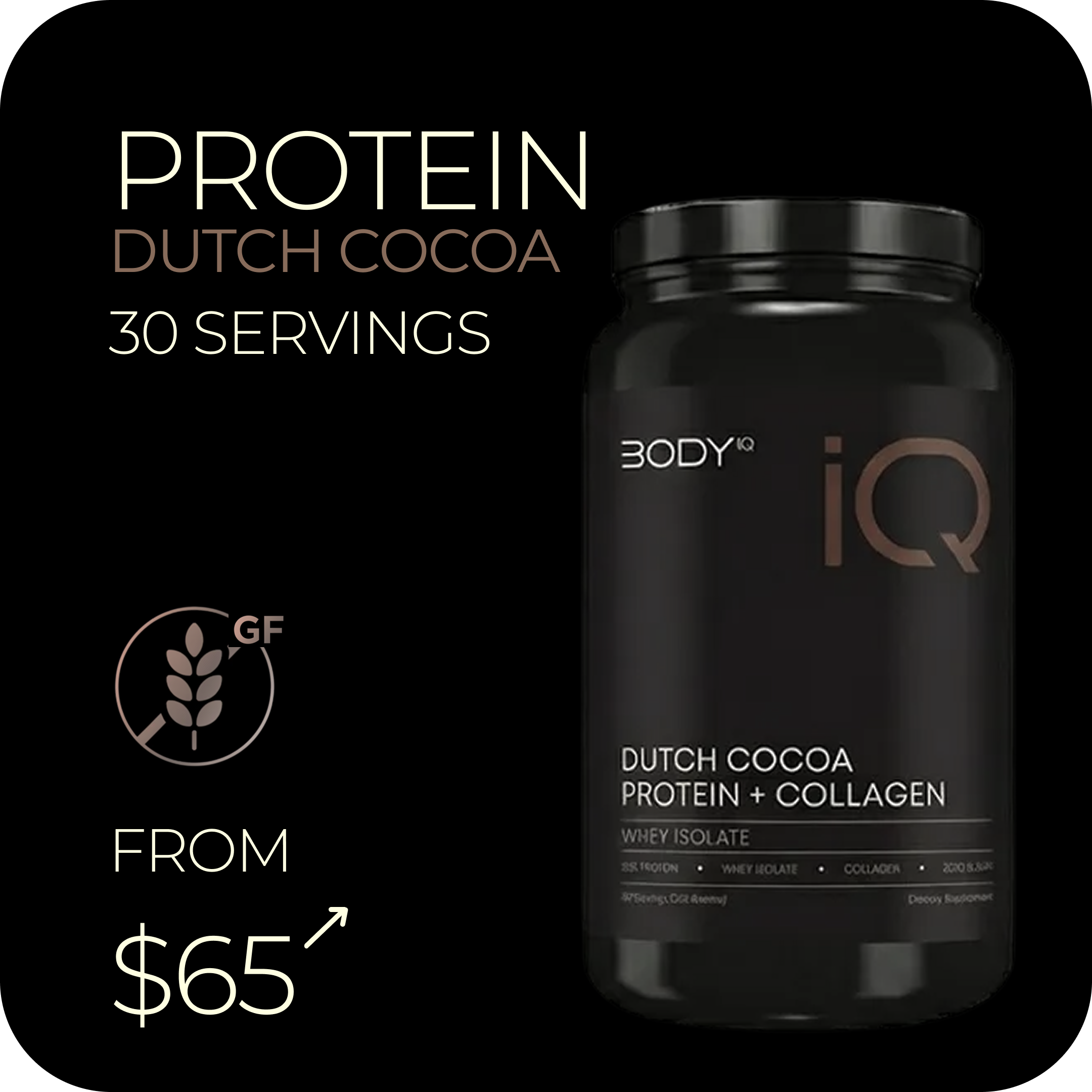 PROTEIN - DUTCH COCOA